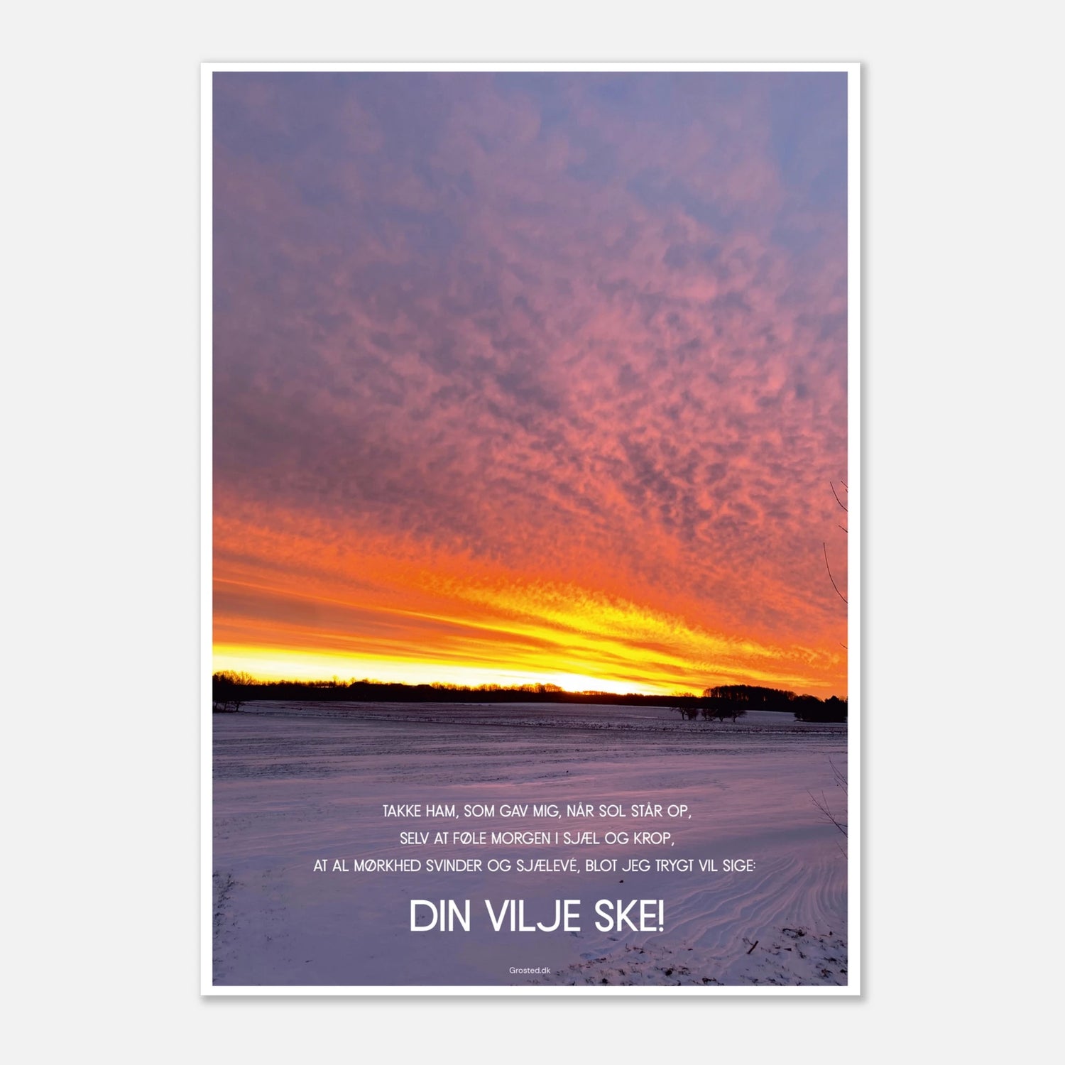 8dc2088f-b1bd-458a-9b17-bdc9b1e0064a