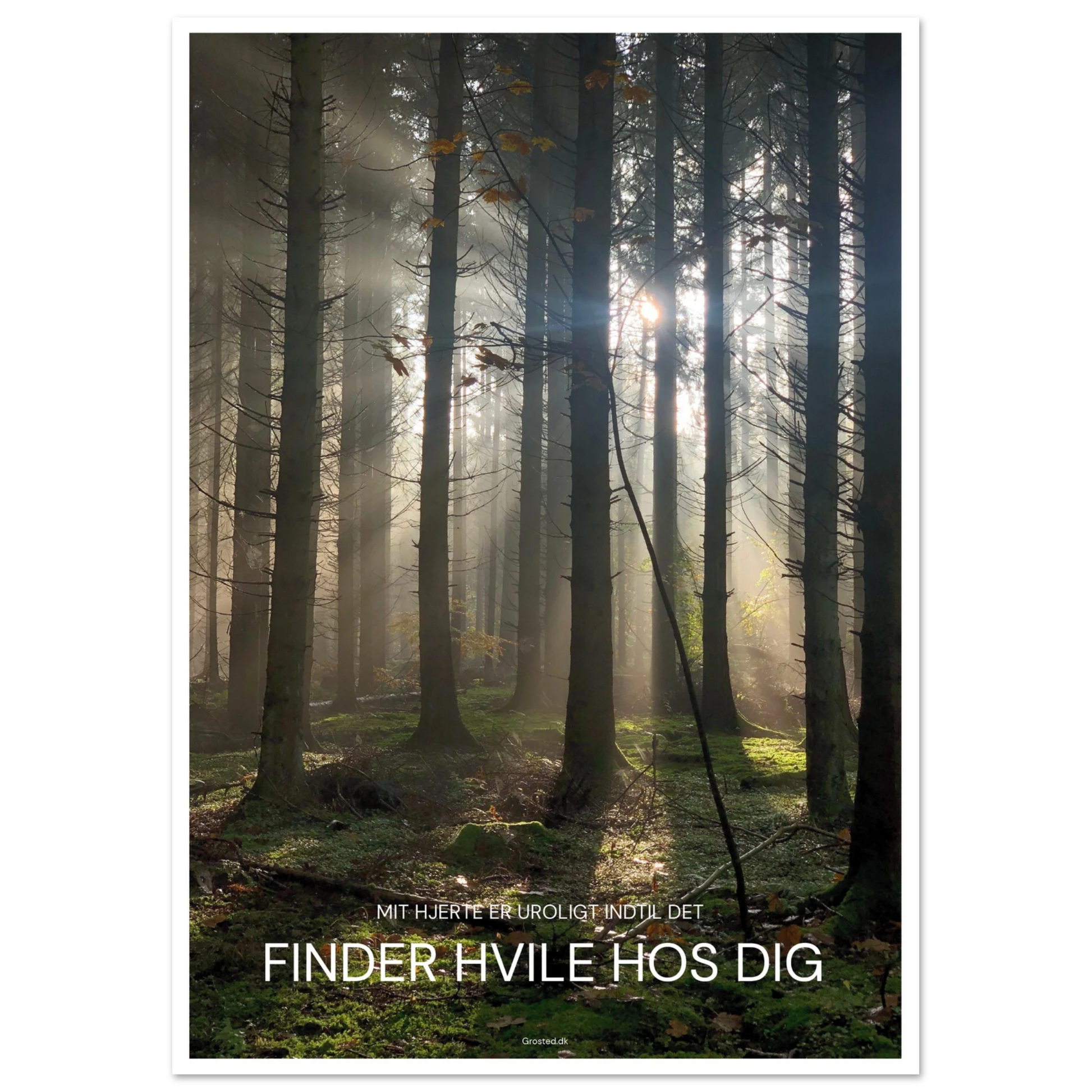 9327525d-b5f3-403f-a96c-9300f93d1f2d