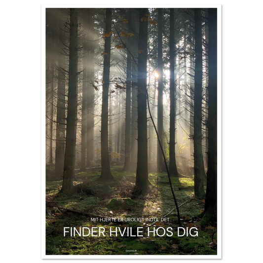 9327525d-b5f3-403f-a96c-9300f93d1f2d