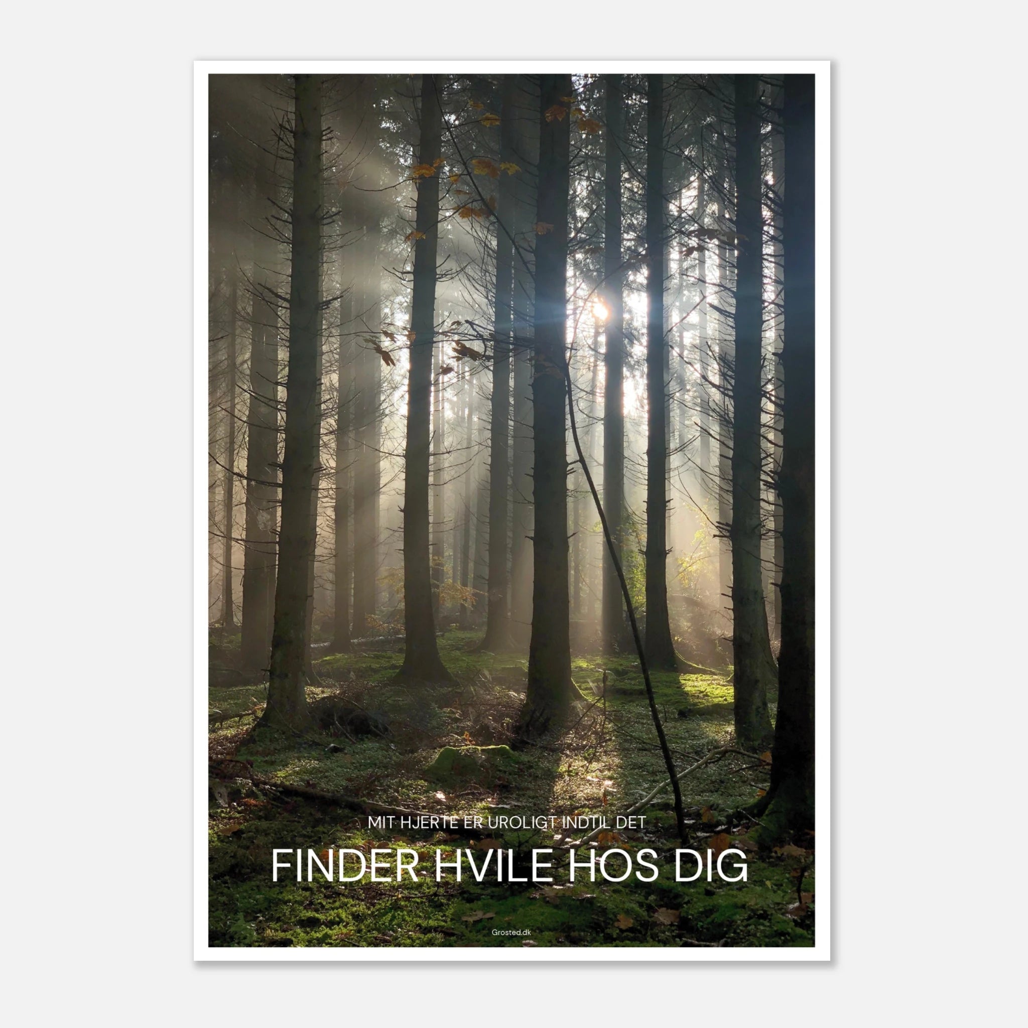 Plakat: Mit hjerte er uroligt, indtil det finder hvile hos Dig